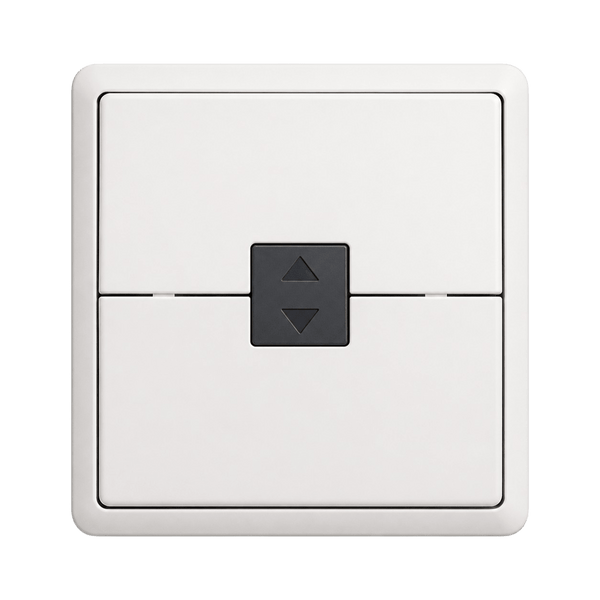Télécommande Bubendorff CRG ASS 230003 Boîtier Vide